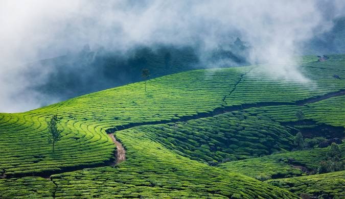 Kerala Tour Packages